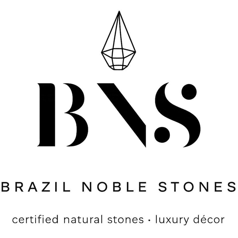 BNS Logo
